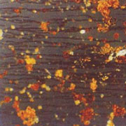 Ferrous corrosion Ferrous corrosion