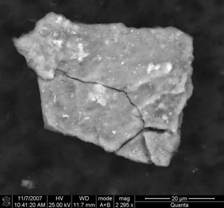 A particle larger than 20 microns was found in the oil sample. A particle larger than 20 microns was found in the oil sample.