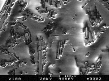 Figure 7. A highly magnified view of the Babbitt surface