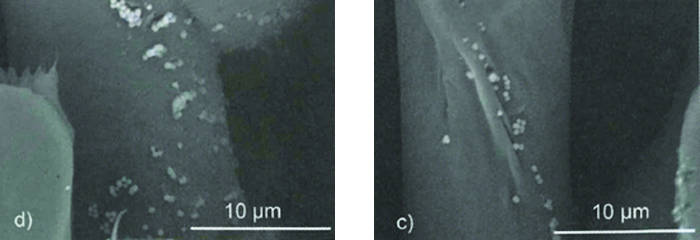 Submicron particles adhere to the&nbsp;surfaces and crevices on special cellulose fibers.